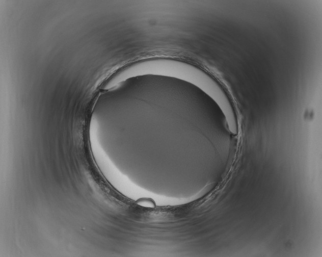 X0000114700154200911181325