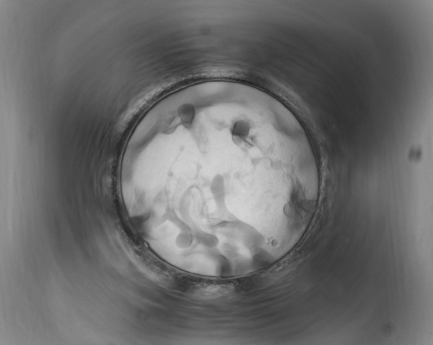 X0000114700155200911181325