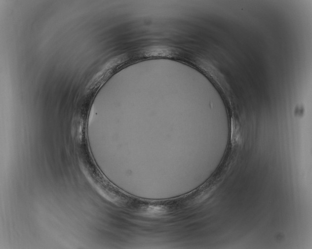 X0000114700157200911181325