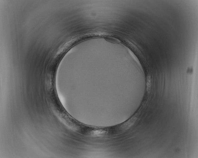 X0000114700158200911181325