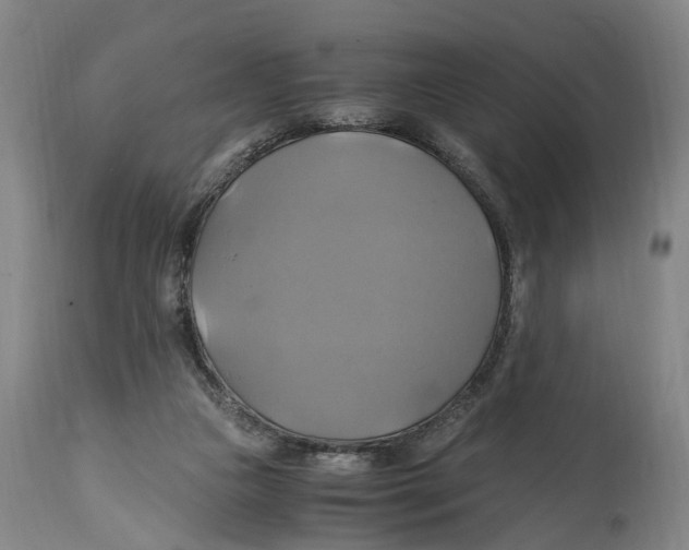 X0000114700161200911181325