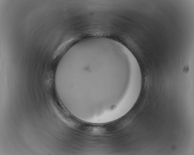 X0000114700165200911181325