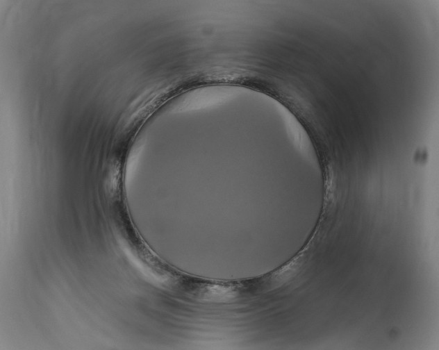 X0000114700166200911181326