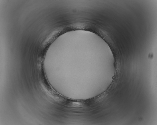 X0000114700167200911181326