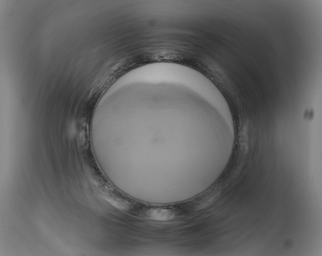 X0000114700169200911181326