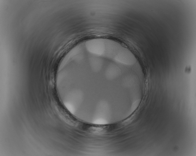 X0000114700170200911181326