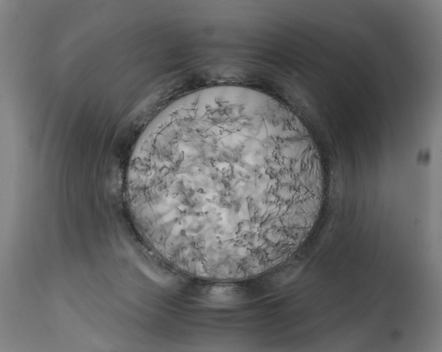 X0000114700173200911181326