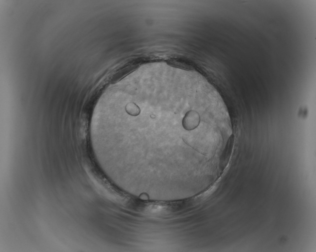 X0000114700174200911181326