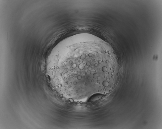 X0000114700175200911181326