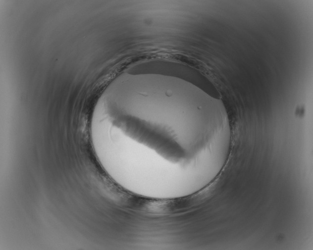 X0000114700178200911181326