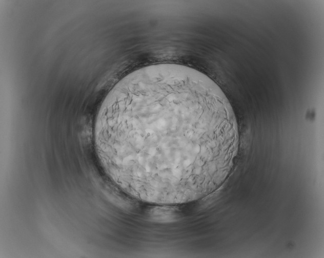 X0000114700179200911181326