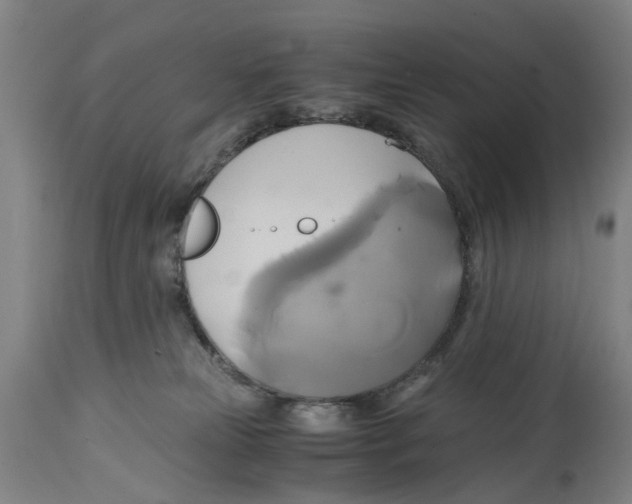 X0000114700181200911181326