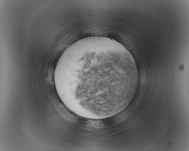 X0000114700185200911181326