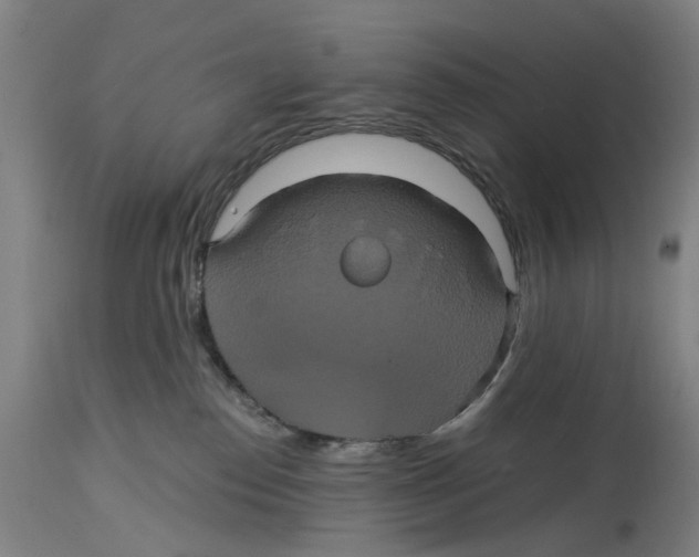 X0000114700186200911181326