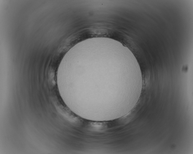 X0000114700187200911181326