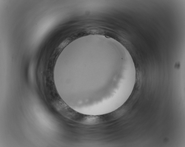 X0000114700189200911181326