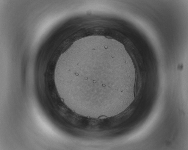 X0000114700190200911181326