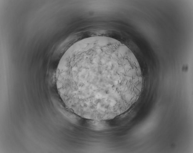 X0000114700191200911181326