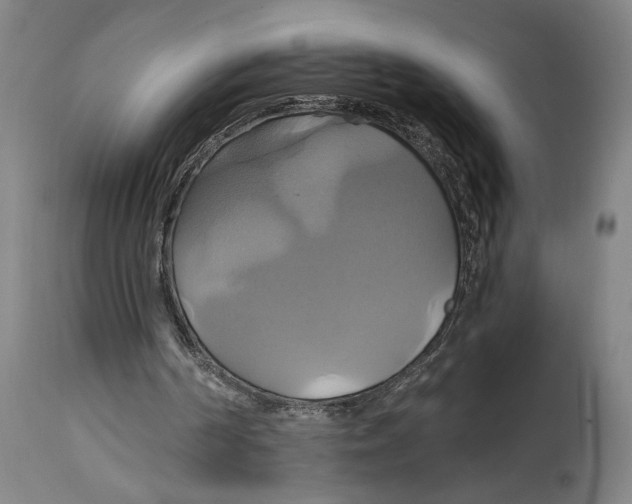 X0000114700194200911181325