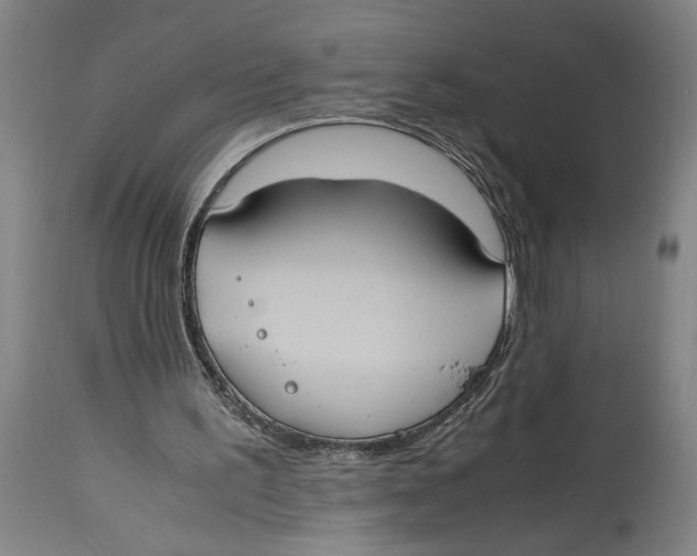 X0000114700195200911181325