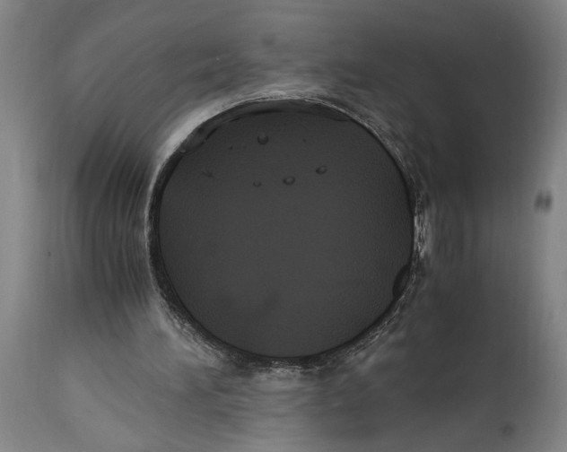 X0000114700196200911181325