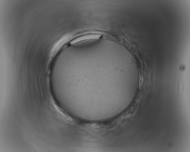 X0000114700197200911181325