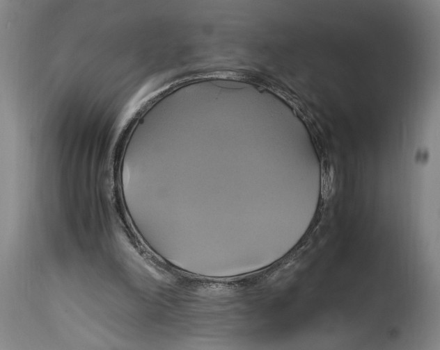 X0000114700198200911181325