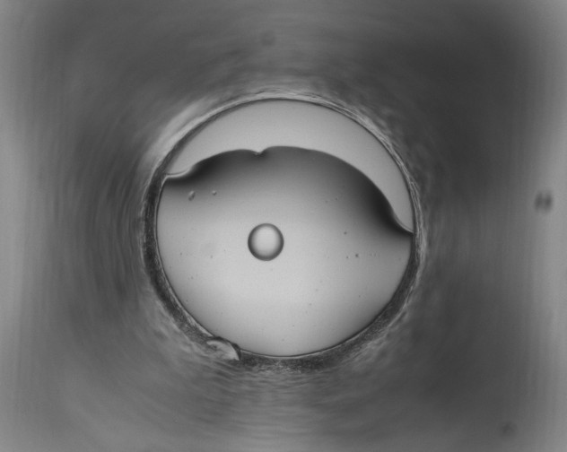 X0000114700199200911181325