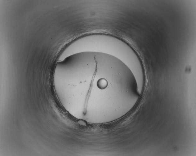 X0000114700201200911181325