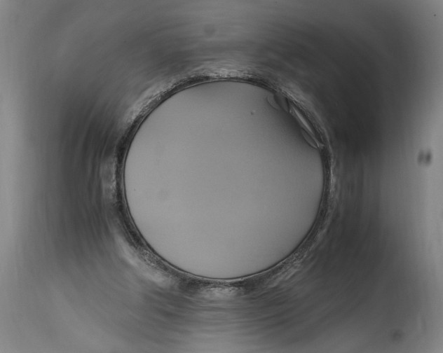 X0000114700202200911181325