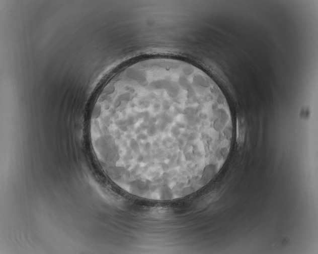 X0000114700204200911181325