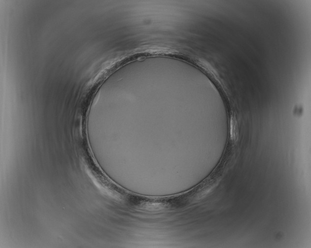 X0000114700205200911181325