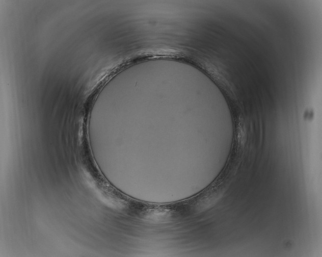 X0000114700206200911181325