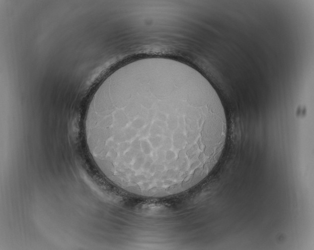 X0000114700208200911181325