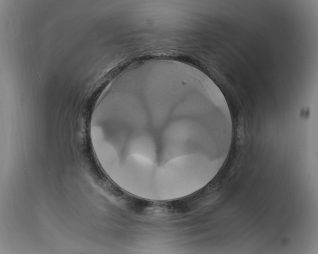 X0000114700211200911181325