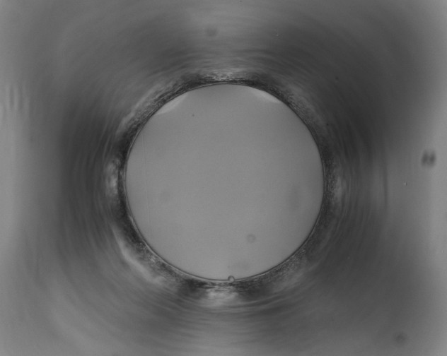 X0000114700214200911181325