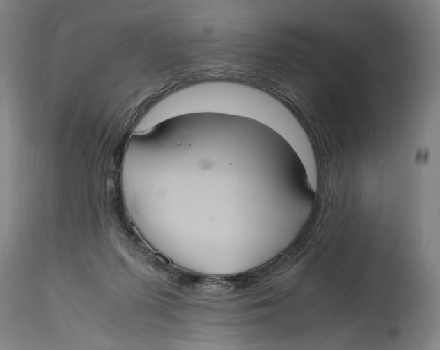 X0000114700215200911181325