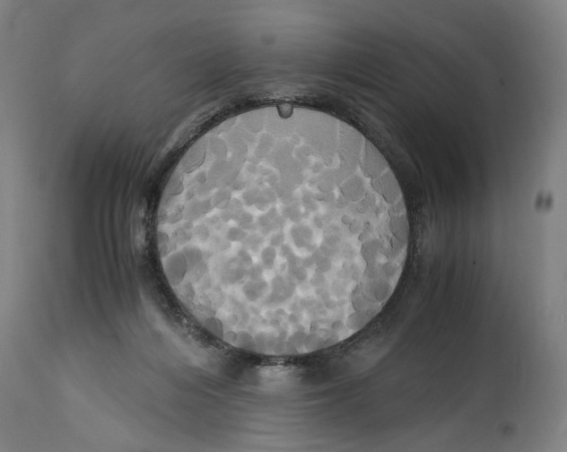 X0000114700216200911181325