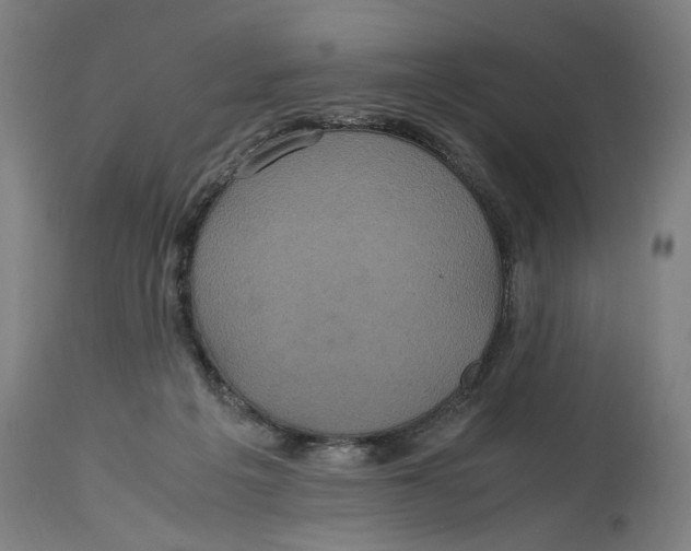 X0000114700217200911181325