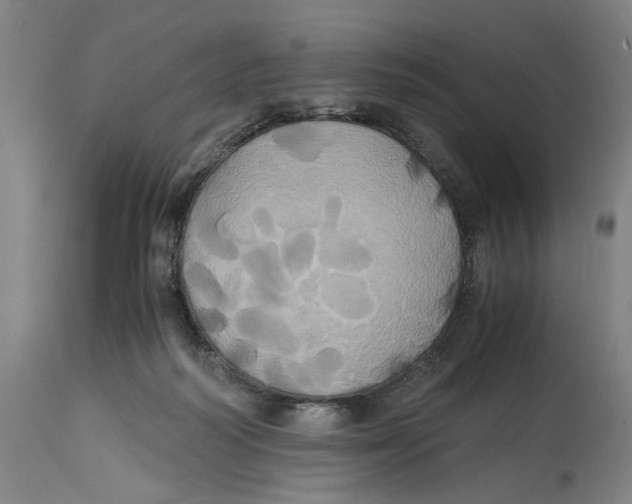 X0000114700218200911181325