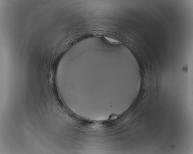 X0000114700219200911181325