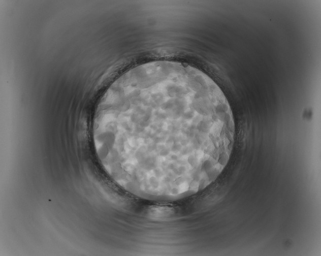 X0000114700220200911181325