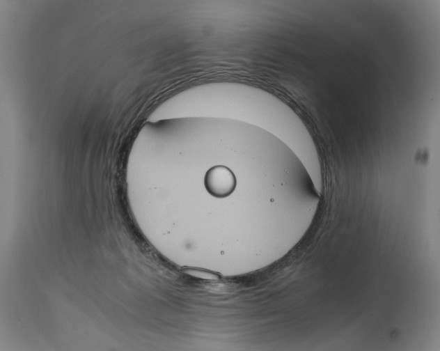 X0000114700221200911181325