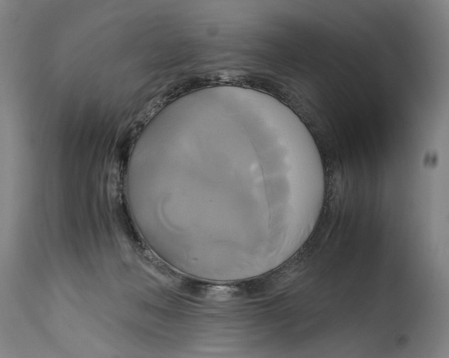 X0000114700222200911181325