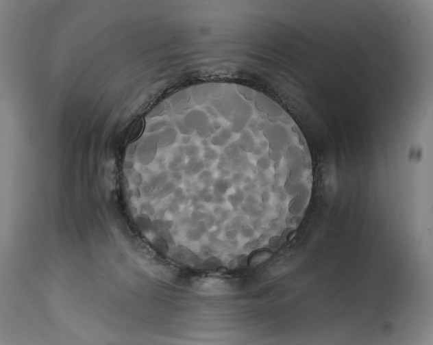 X0000114700224200911181325