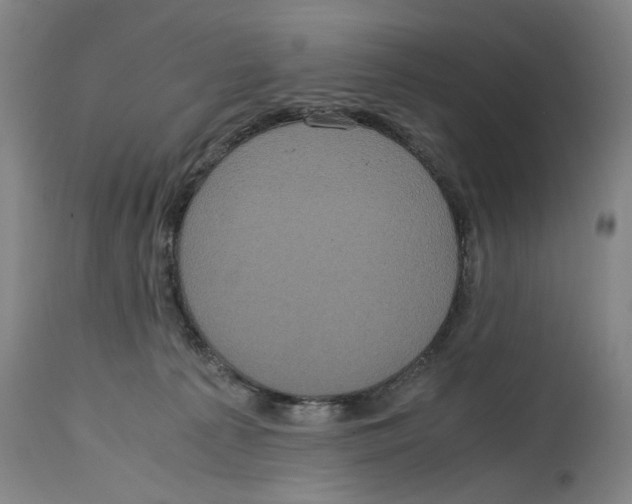 X0000114700225200911181325