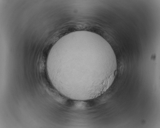 X0000114700226200911181325