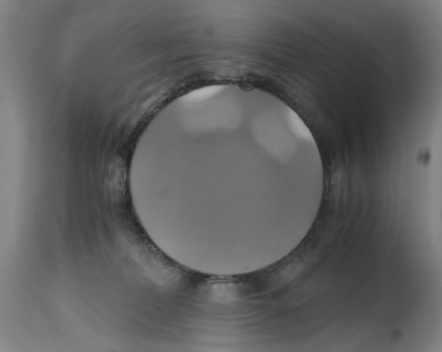 X0000114700228200911181325