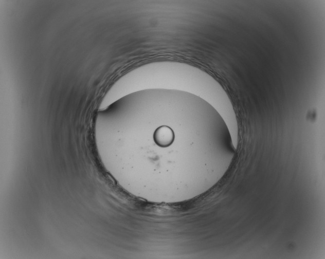 X0000114700229200911181325