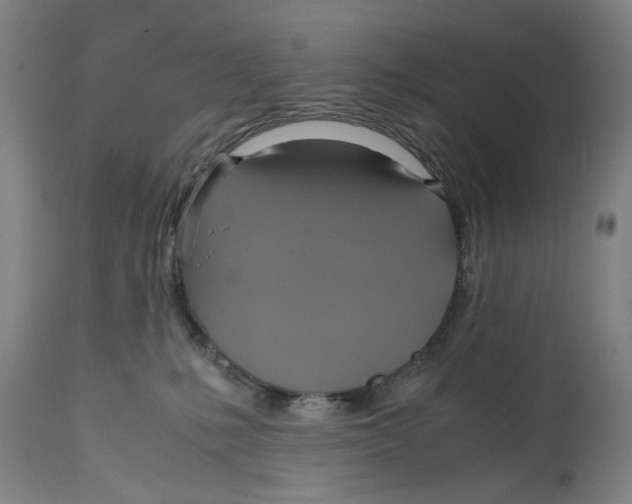 X0000114700231200911181325